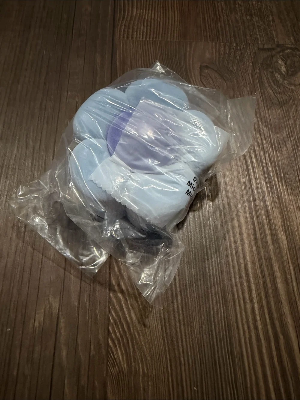 Blue & Purple Flower Jewelry Box Cat & Jack